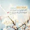 user1361658860988