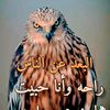 user2224690427580