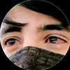 alim4377