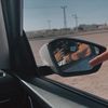 adar_cohen1408