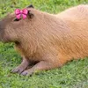 capybara_gamer8