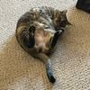 aikobuttlol