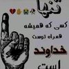 user52220835180334
