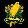 pilot_canary