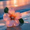 .pns__sa