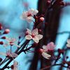 wwwmohamed251