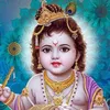 krishn.1437