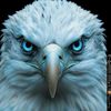 alemad116