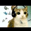 meowlchillin