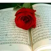user4794187461096