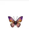 aysha.qasm