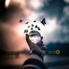 aminbabi887