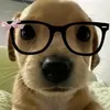 bauuu_25