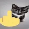 yltra_chiter777