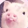 jhyzmyn