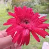 gayan.sadaruwan25