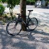 fixedgear_one