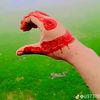 zahid.mir56