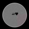 najma.shekh
