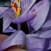 mihaela.indrei73