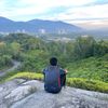 ratatuy431