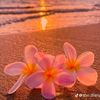 wintuparkyaw