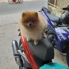 quang.vinh.nguyen56