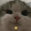 nguyndngthy6