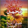 hayaty650