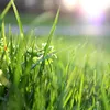 youtouchsomegrass