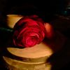 sue063209