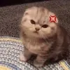 nghin.the.batter