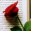 lovenotes91