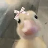 rhyyy_kent