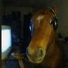therealgaminghorse