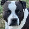 sophie8z1