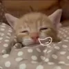 lkjhgffdsapoiuytrewq