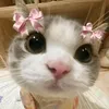 itsmic_haela
