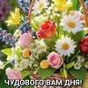 user345120007255