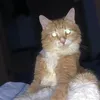 neuroooo_