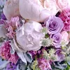 chaouia774