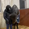 equii.lorisa