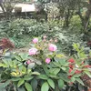 vt.au.trong.tim