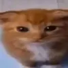 juungg_v