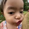 iraa_lupp
