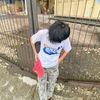 aldi_anak_baik12