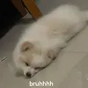 kutephomaique_8