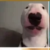 oketzu