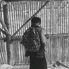 ariss_aropik