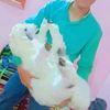sufiyan.khan696